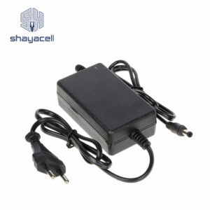 Iranian 2 Amp 12 Volt Adapter